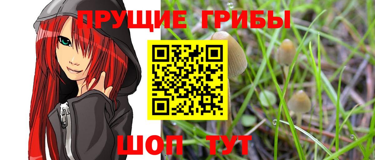 Галлюциногенные грибы ЛСД  Вход с VPN  Калуга 